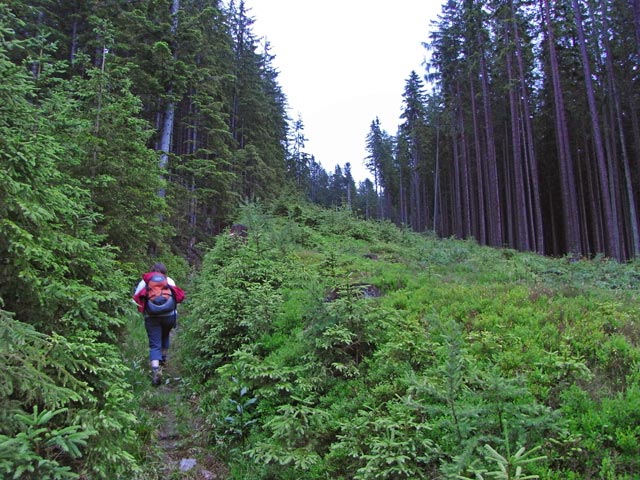 Irene im B&uuml;rgerwald