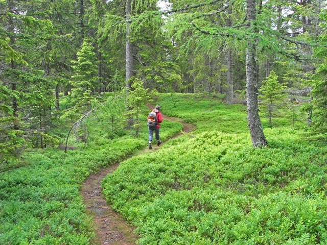 Irene zwischen Ochnerh&ouml;he und Ziereck