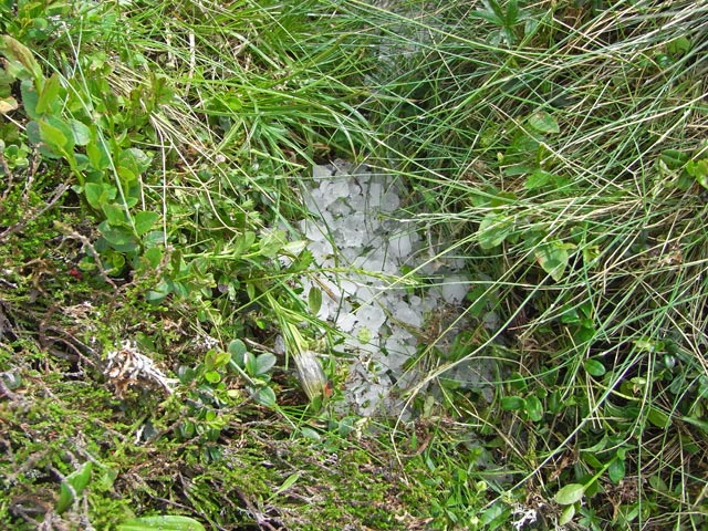 zwischen P&ouml;lseck und P&ouml;lseckjoch (28. Juni)