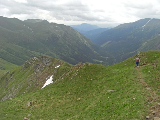 zwischen P&ouml;lseckjoch und Hohenwart (28. Juni)
