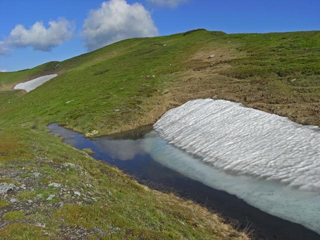 zwischen Kreuzkogel und Gro&szlig;er Windlucke (29. Juni)