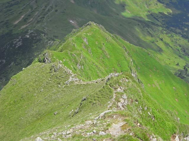 zwischen Hochschwung und Gro&szlig;em Geierkogel (29. Juni)