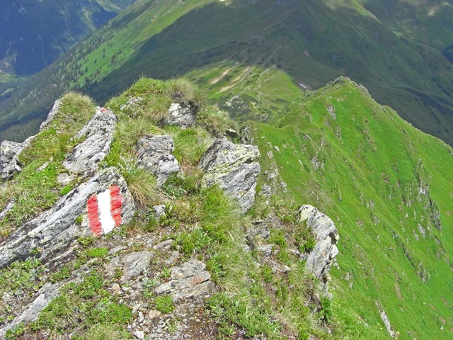 zwischen Hochschwung und Gro&szlig;em Geierkogel (29. Juni)