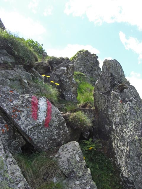 zwischen Gro&szlig;em Geierkogel und Kleinem Geierkogel (29. Juni)