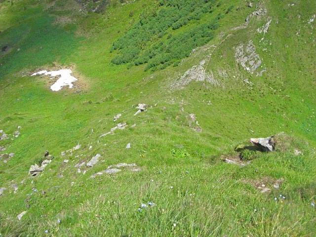 zwischen Gro&szlig;em Geierkogel und Kleinem Geierkogel (29. Juni)