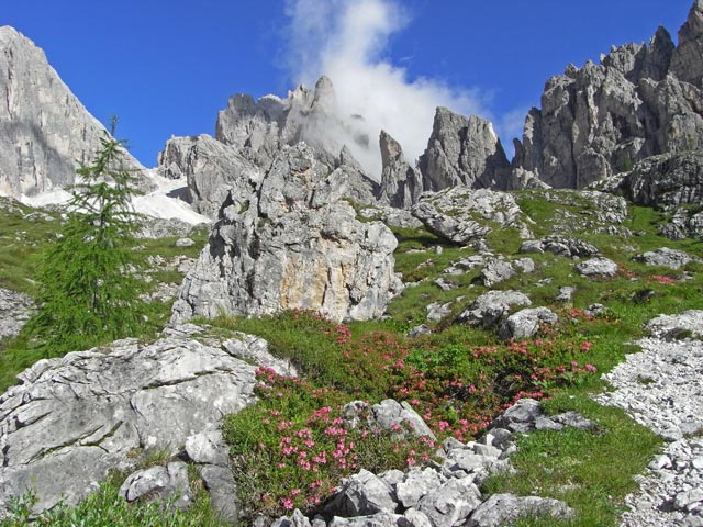 Vallon Popera (21. Juli)