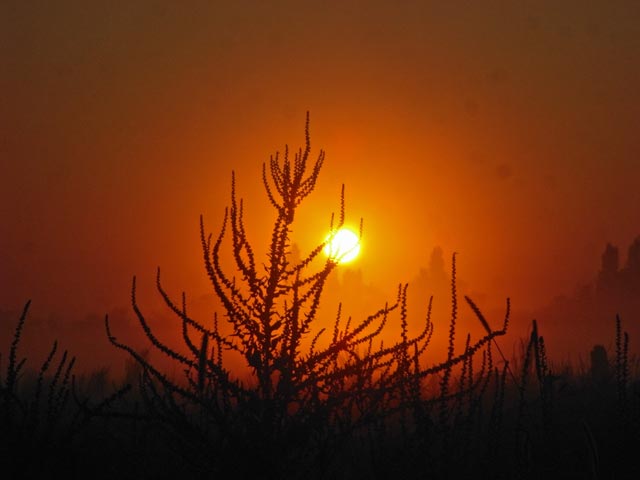 Sonnenaufgang &uuml;ber S&uuml;&szlig;enbrunn (29. Juli)