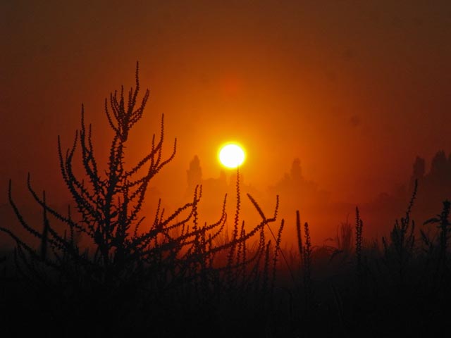Sonnenaufgang &uuml;ber S&uuml;&szlig;enbrunn (29. Juli)
