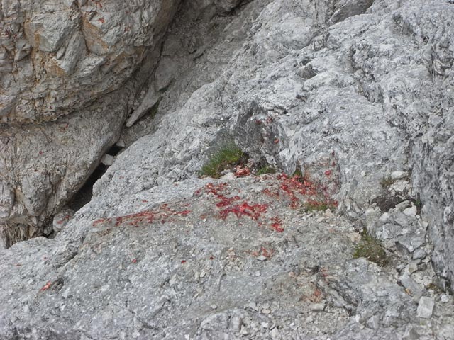 Via Ferrata Bolver-Lugli