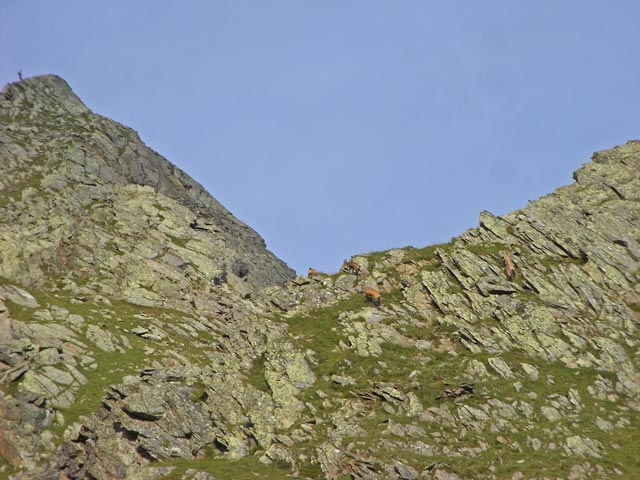 Zw&ouml;lfernieder (17. Aug.)