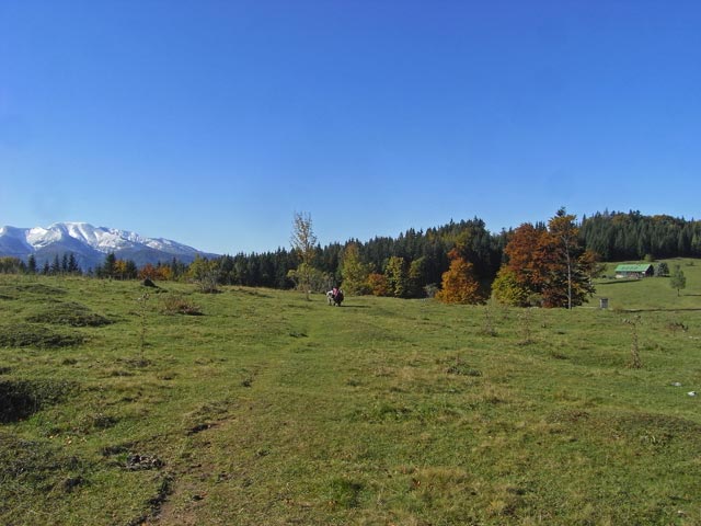 Christoph auf der B&uuml;rgeralpe