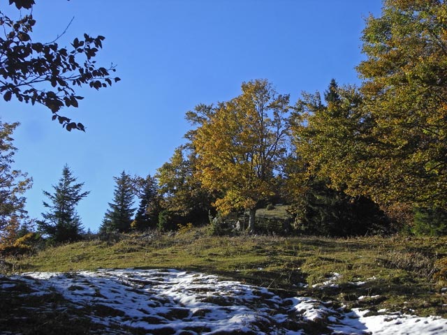 zwischen T&uuml;rnitzer H&uuml;tte und Stadelbergkamm