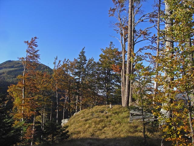 zwischen T&uuml;rnitzer H&uuml;tte und Stadelbergkamm