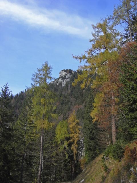 neben Weg 646 zwischen Butterbr&uuml;ndl und H&ouml;rantalm (19. Okt.)