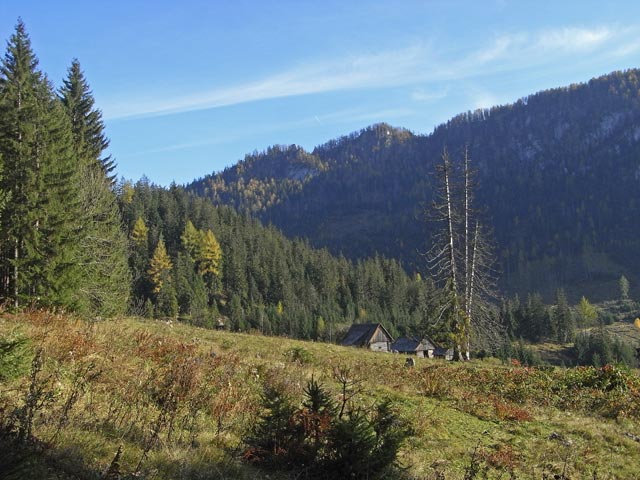 H&ouml;rantalm, 934 m (19. Okt.)