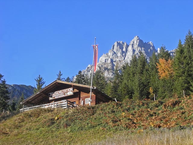 Graspoint Niederalm, 981 m (26. Okt.)