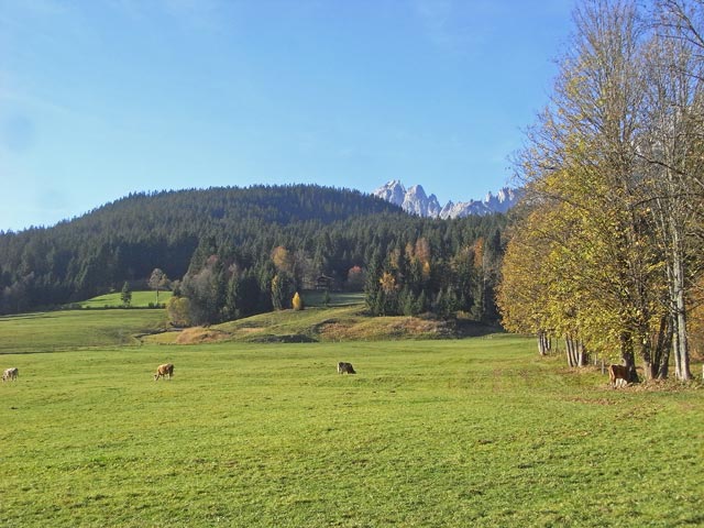 Aschau (26. Okt.)