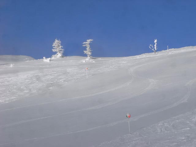 Plattenabfahrt (28. Dez.)