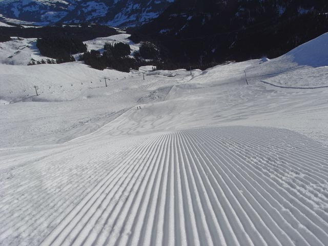 Abfahrt Hochsaukaser (13. J&auml;n.)