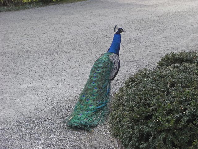 Schlo&szlig; Eggenberg (15. M&auml;rz)