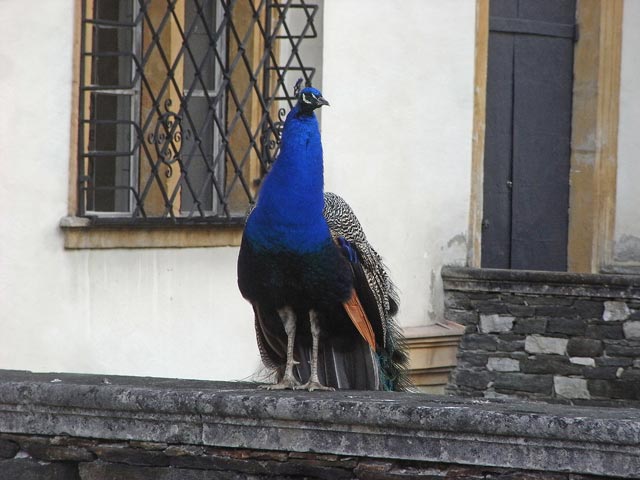 Schlo&szlig; Eggenberg (15. M&auml;rz)