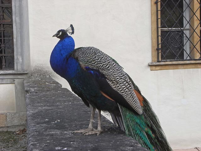 Schlo&szlig; Eggenberg (15. M&auml;rz)