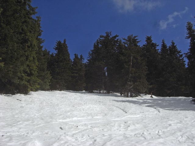 zwischen Ganzeben und Steinbachalm