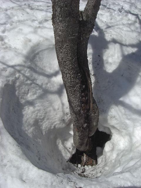 im freien Gelände südlich des Steilhangs