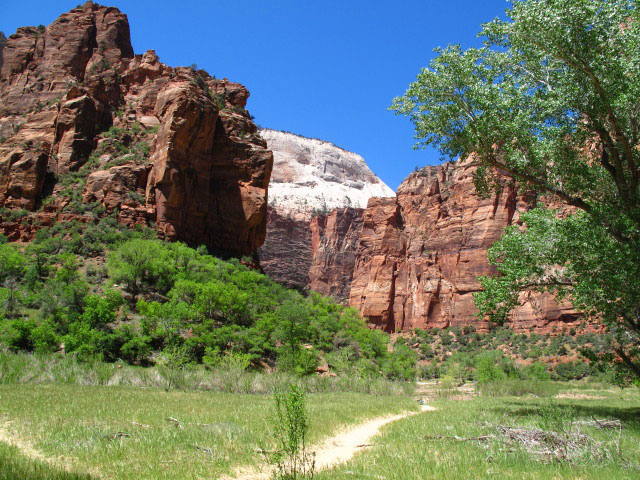 Zion Canyon im Zion National Park (6. Mai)