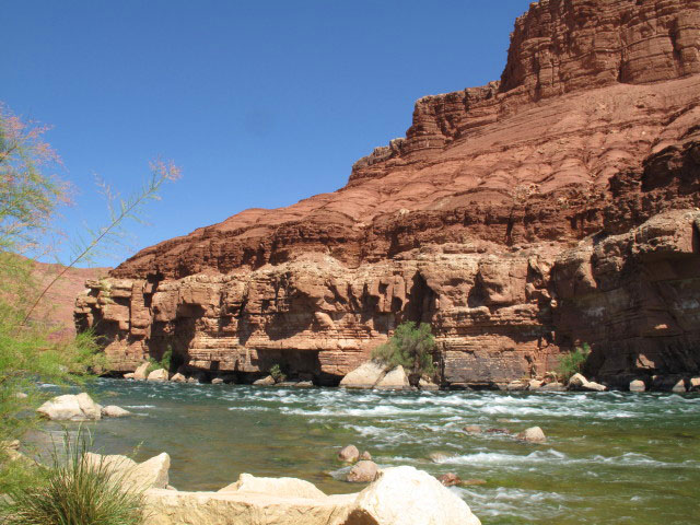 Colorado River bei Lees Ferry (8. Mai)