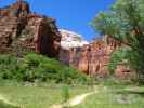 Zion Canyon im Zion National Park (6. Mai)