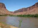 Colorado River zwischen Grand Junction und Moab (11. Mai)