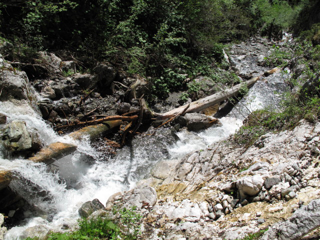Röbischlucht-Klettersteig: Bachquerung