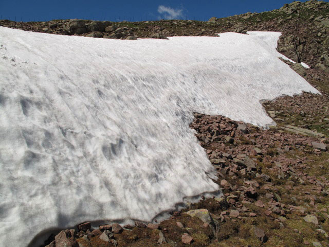 zwischen Zw&ouml;lfernock und Totensee (12. Juni)