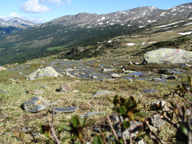 Weg 5 zwischen Fortschellscharte und Innerh&uuml;tten (13. Juni)