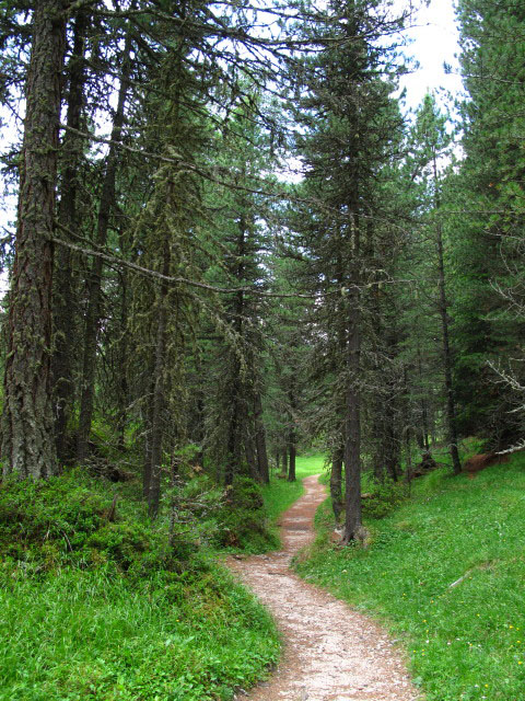 Weg 17 zwischen Silvesterscharte und Juach&uuml;tte (5. Juli)