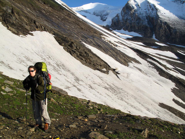 Daniela auf Weg 727 zwischen Schwarzenbergh&uuml;tte und Remsschartl (26. Juli)