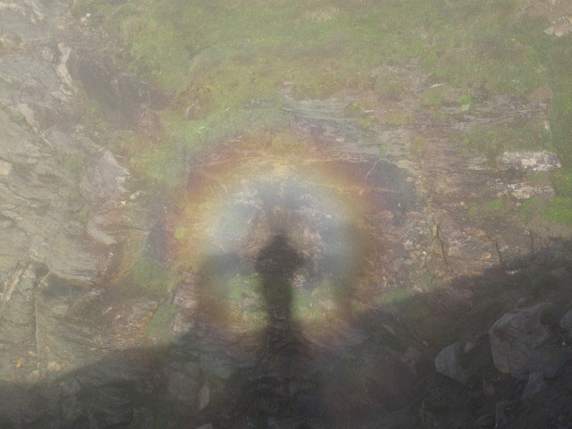 neben Weg 727 zwischen Schwarzenberghütte und Remsschartl (26. Juli)