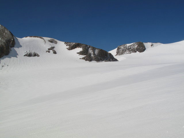 n&ouml;rdliches Bockkarkees (26. Juli)