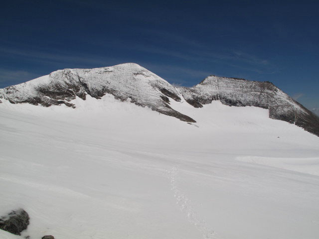 n&ouml;rdliches Bockkarkees (26. Juli)
