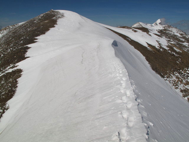 Mittlerer B&auml;renkopf (26. Juli)