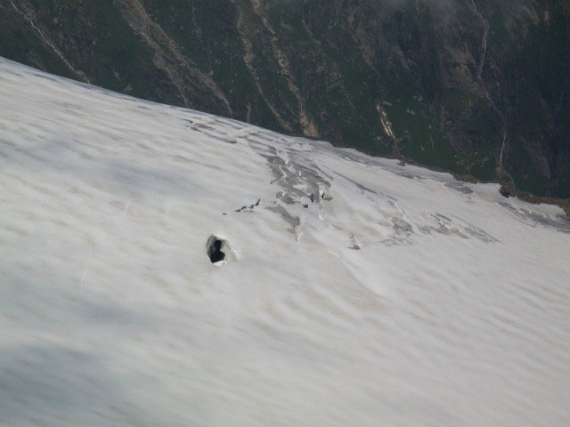 Westliches B&auml;renkopfkees (30. Juli)