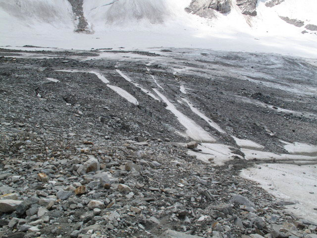 &Ouml;denwinkelkees (1. Aug.)