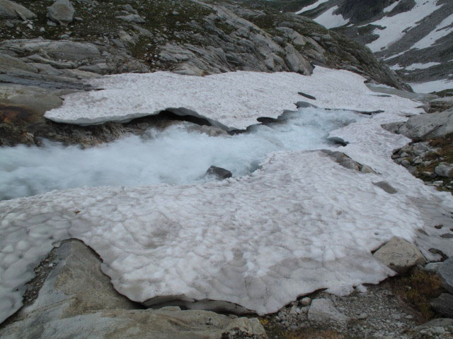 neben dem Gletscherlehrweg (2. Aug.)