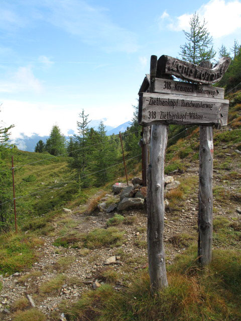 zwischen Ederplan und Loneskopf (30. Aug.)