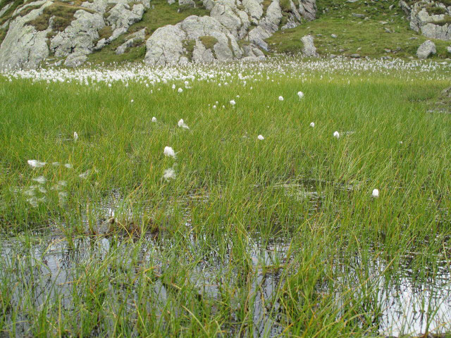 zwischen Seetalalm und Plattach (31. Aug.)