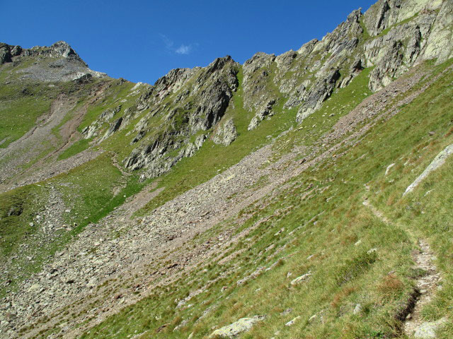 Heinrich-Hecht-Weg zwischen Goldgrubenscharte und M&auml;uerle (1. Sept.)