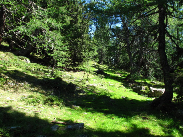 Sachsenweg zwischen Salzkofelh&uuml;tte und Premersdorfer Alm (1. Sept.)