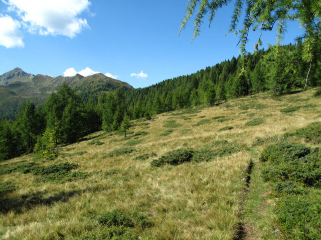 Sachsenweg zwischen Salzkofelh&uuml;tte und Premersdorfer Alm (1. Sept.)