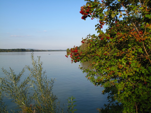 Donau bei W&ouml;rdern